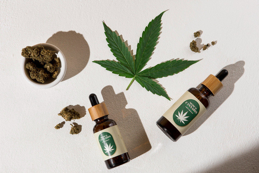 Transform Your Cannabis Brand with CannaMack's Expertise