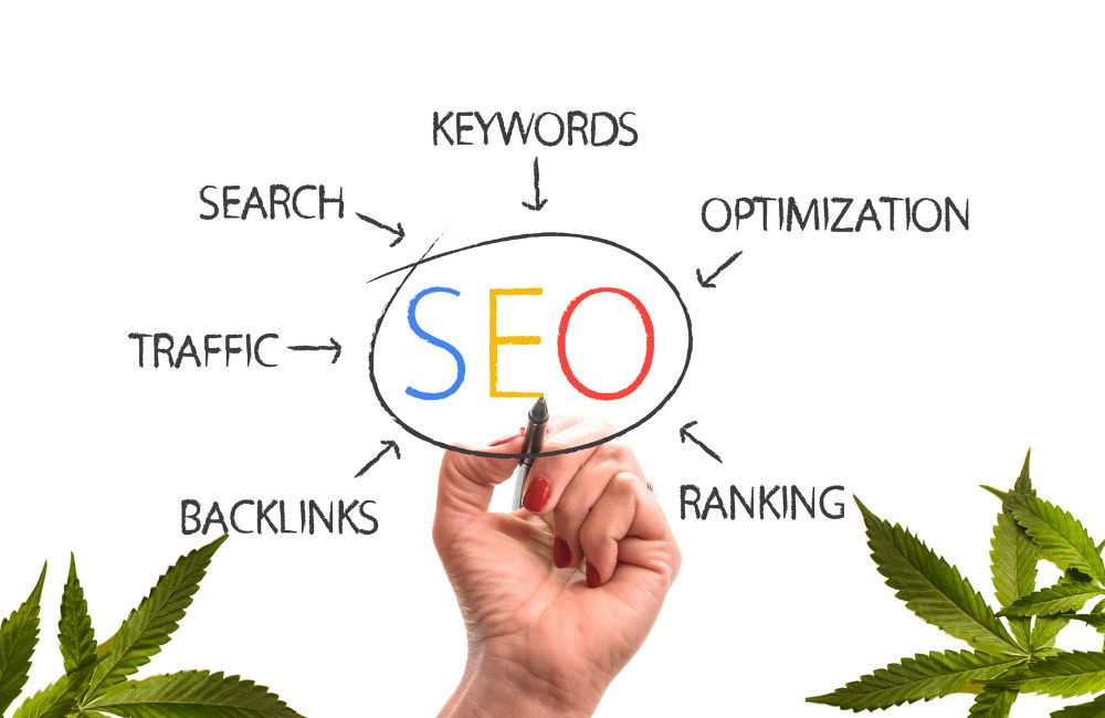 7 Best Practices for Weed Search Engine Marketing to Boost Dispensary Traffic