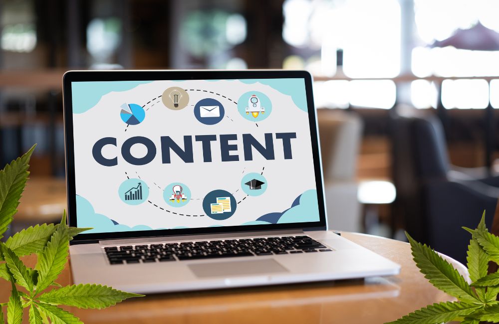 3. Content Creation