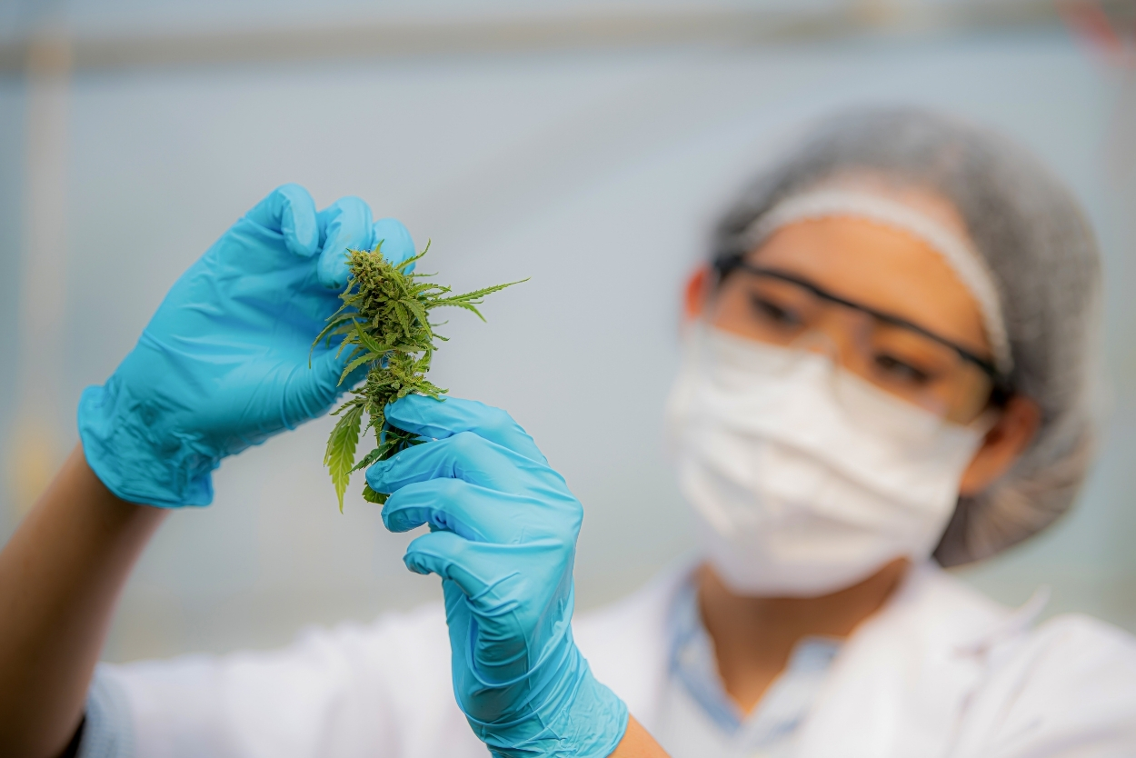 Partner with CannaMack for Expert Cannabis Marketing Solutions!