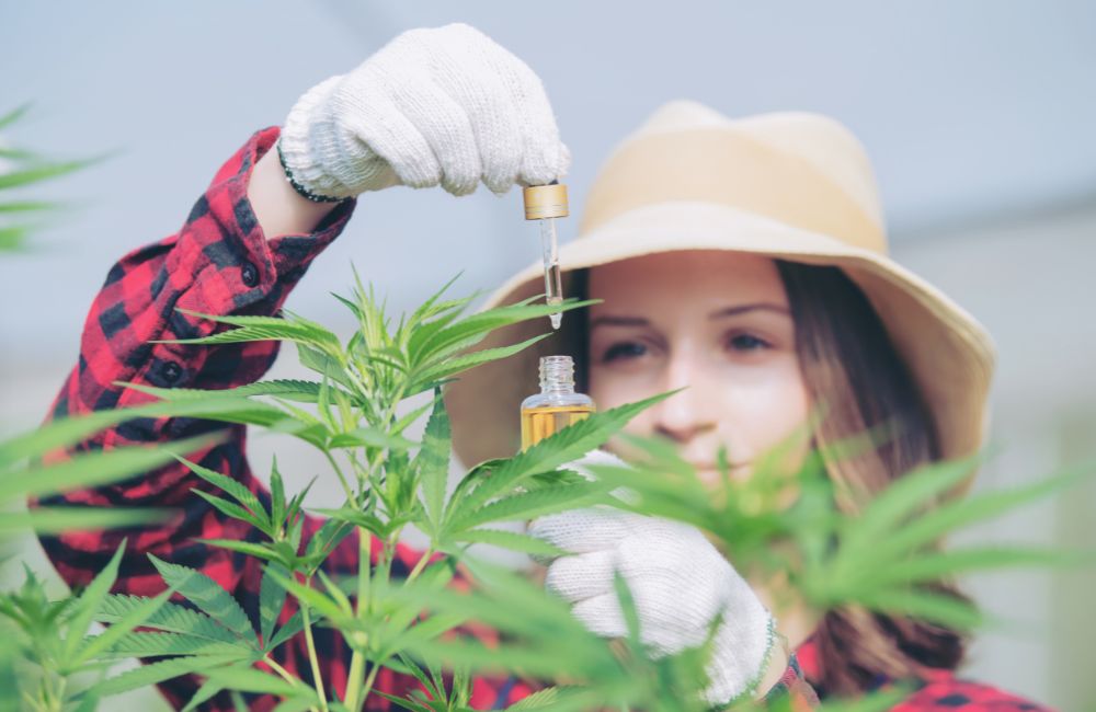 cannabis with a female grower behind