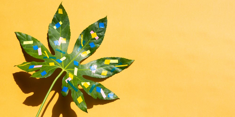 chestnut leaves